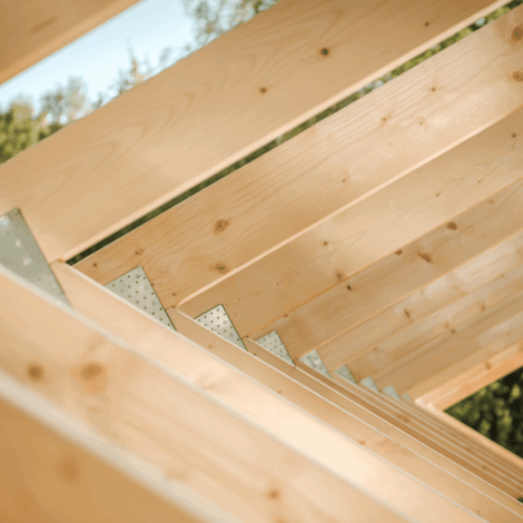 Forestales-Quero-EIRL-3