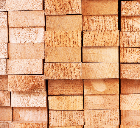 Portada-de-Paginas-P-1