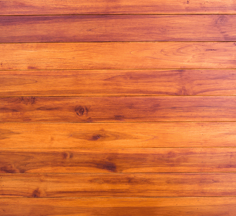 Portada-de-Paginas-P-2