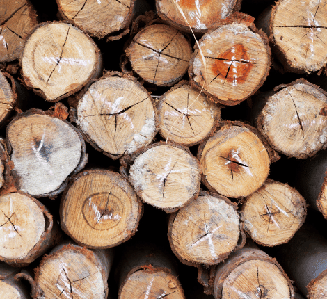 Portada-de-Paginas-P